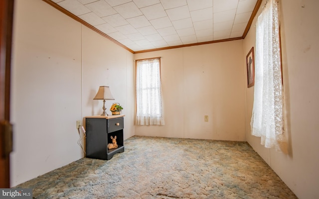 unfurnished room with crown molding and carpet flooring