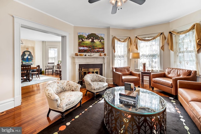 living room featuring ceiling fan, wood finished floors, baseboards, a glass covered fireplace, and crown molding