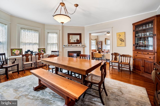 dining room featuring a fireplace, wood finished floors, and crown molding