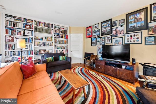 living room with wood finished floors