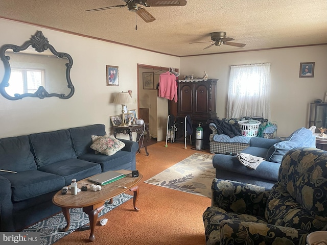 living room featuring a ceiling fan, carpet, a textured ceiling, and ornamental molding