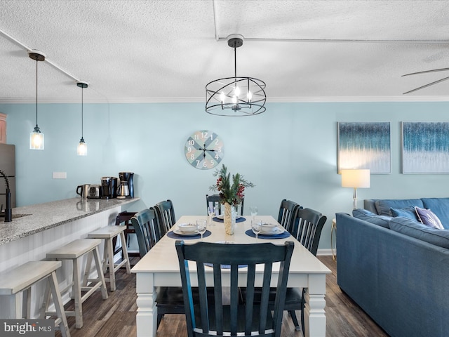 dining room with crown molding, dark wood finished floors, and a textured ceiling