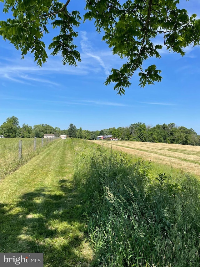 view of yard with a rural view