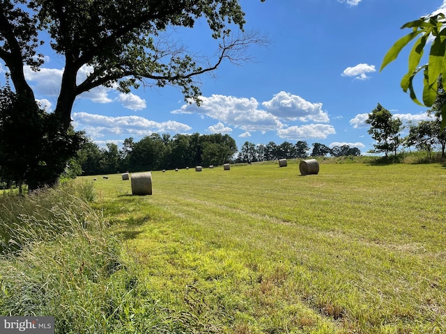 view of yard with a rural view