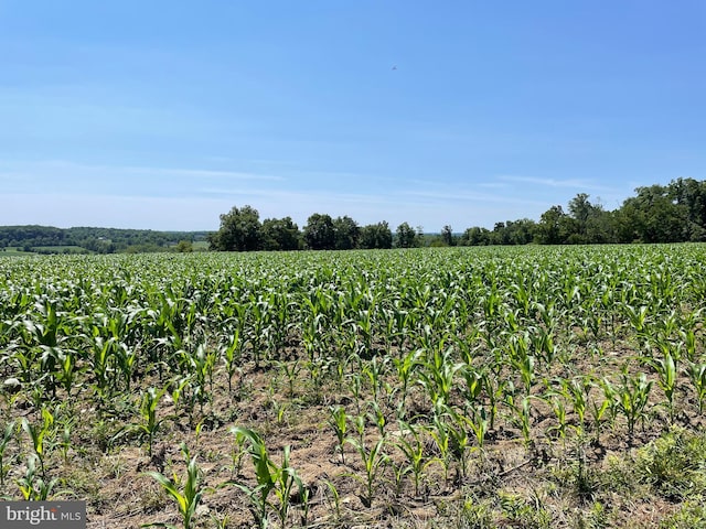 view of landscape with a rural view