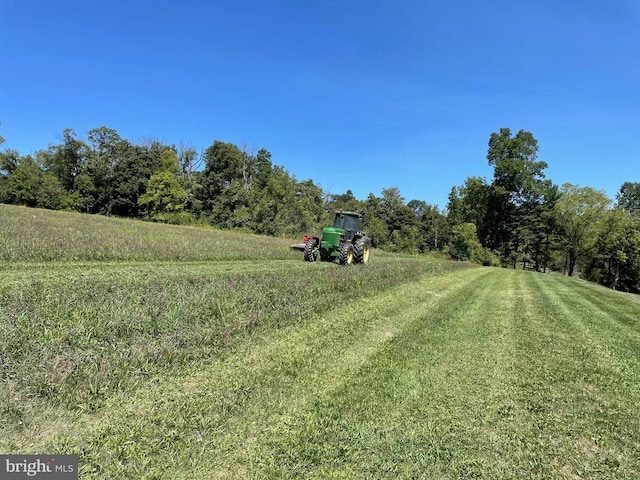 view of yard featuring a rural view