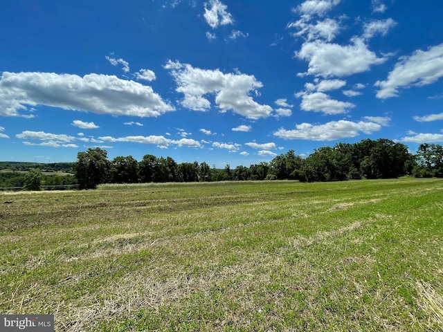 view of local wilderness featuring a rural view