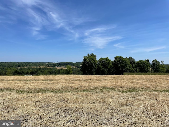 view of landscape with a rural view