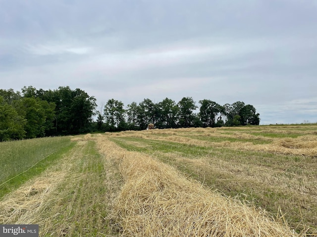 view of landscape featuring a rural view