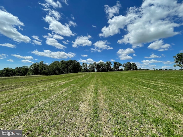 view of yard with a rural view