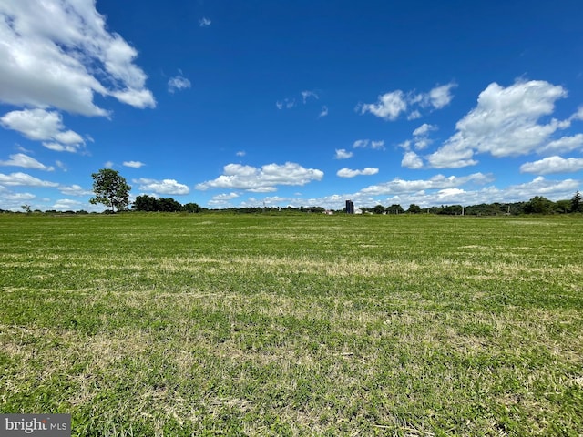 view of local wilderness with a rural view