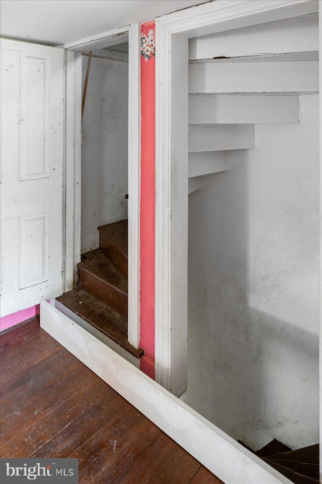 stairs with hardwood / wood-style floors