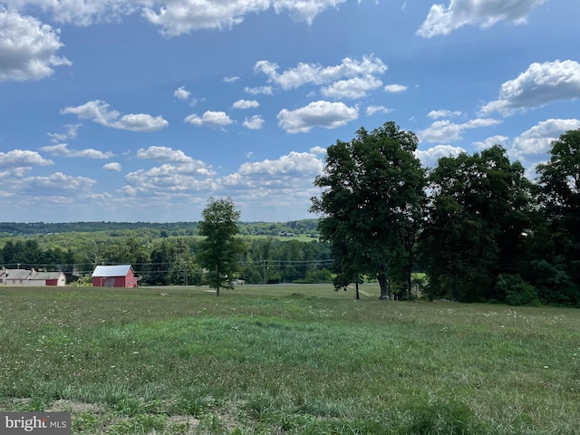 view of yard with a rural view and a view of trees