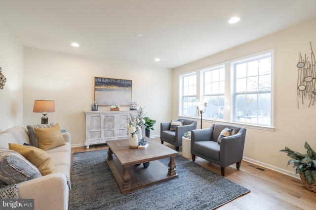 living room featuring wood-type flooring