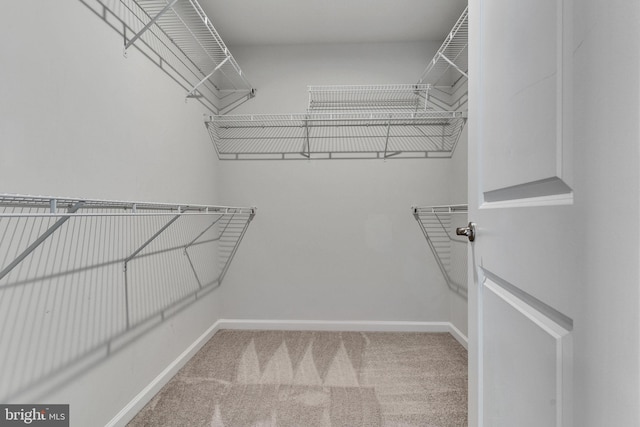 spacious closet with carpet floors