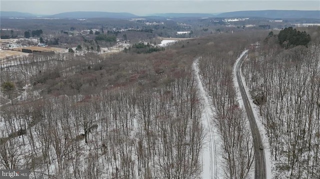 birds eye view of property featuring a mountain view