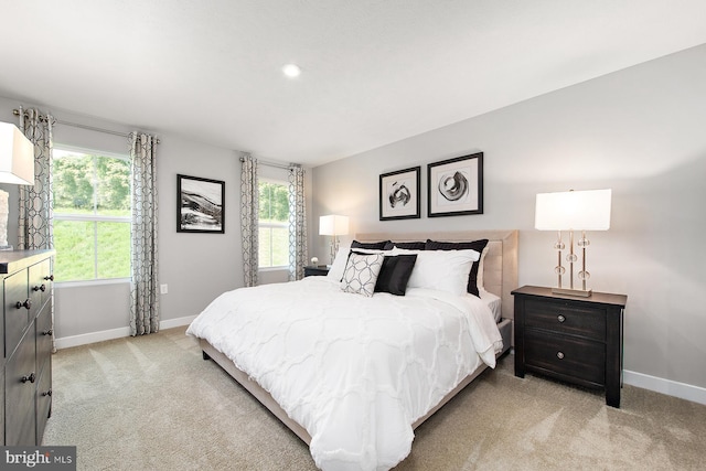 bedroom with light carpet, baseboards, and multiple windows