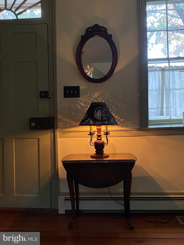 room details featuring wood finished floors and a baseboard radiator