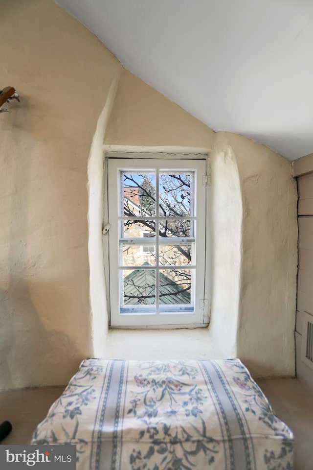 bedroom with vaulted ceiling