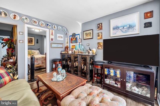 living room featuring hardwood / wood-style floors