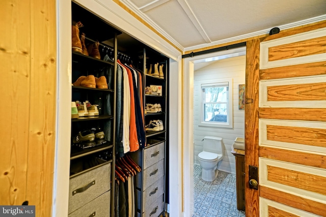 view of spacious closet