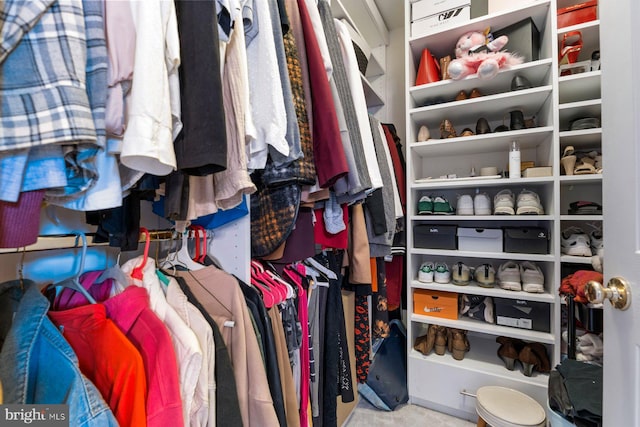 view of spacious closet