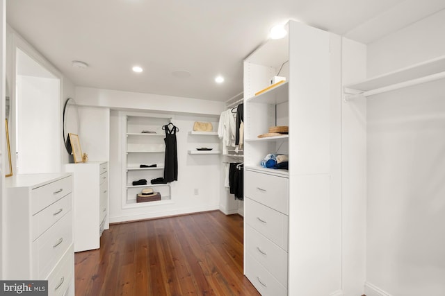 spacious closet featuring dark wood-type flooring