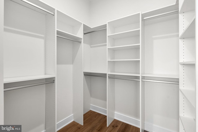 spacious closet with dark wood-type flooring