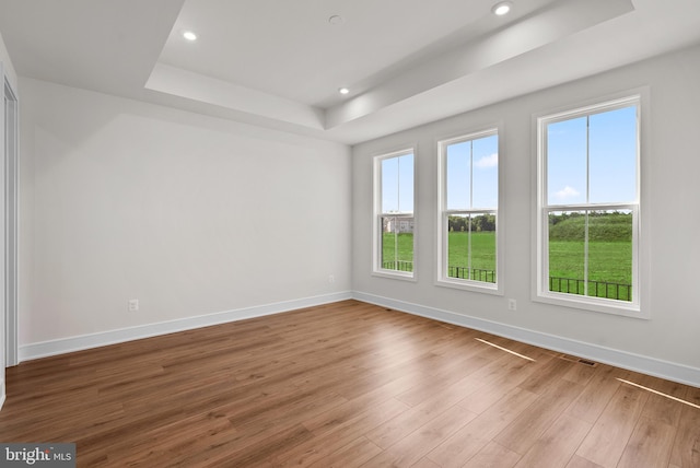 spare room featuring a tray ceiling and wood-type flooring