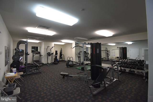 workout area featuring carpet flooring