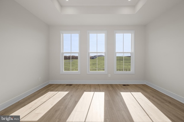 spare room featuring light hardwood / wood-style flooring and a tray ceiling