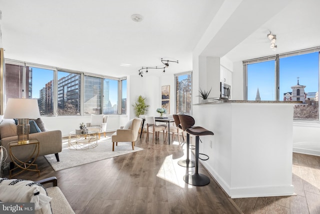 living area featuring rail lighting, a view of city, baseboards, and wood finished floors