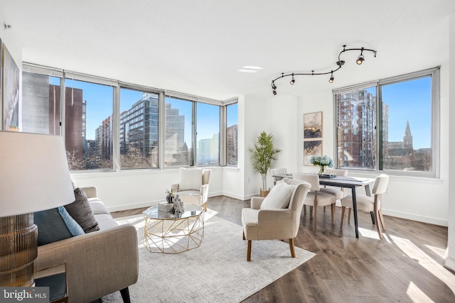 living area with baseboards, a city view, and wood finished floors