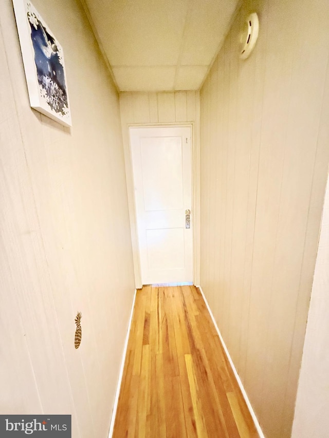 corridor featuring a drop ceiling and wood-type flooring