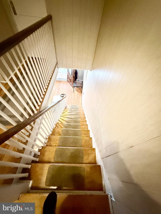 stairway featuring wood-type flooring and wood walls