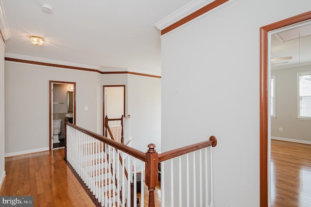 hallway featuring ornamental molding, light wood-type flooring, an upstairs landing, and attic access