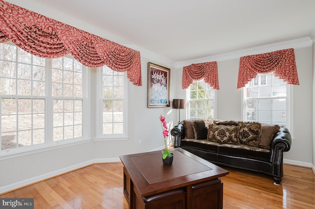 living area featuring light wood finished floors, baseboards, and crown molding