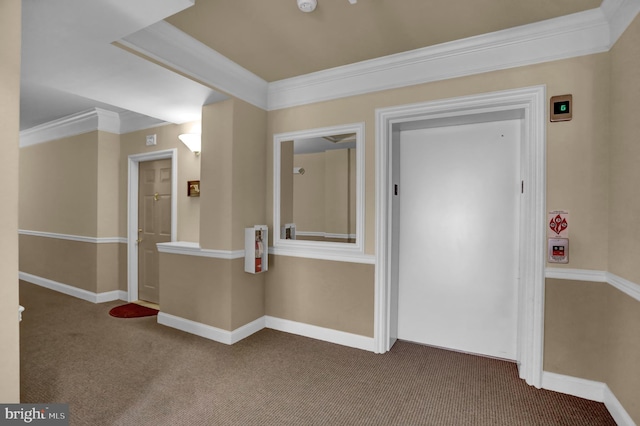 corridor with elevator, ornamental molding, carpet flooring, and baseboards