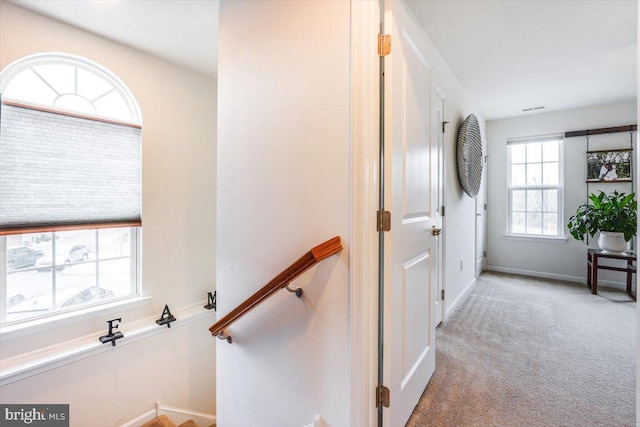 interior space featuring baseboards and light colored carpet