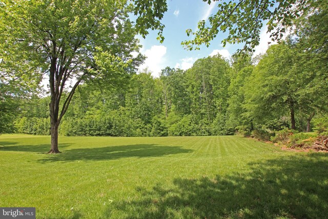15516 Wigeon Way, Woodbridge, VA 22191 - view of grassy yard