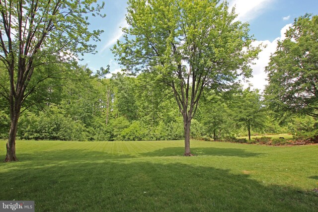 15516 Wigeon Way, Woodbridge, VA 22191 - view of green lawn
