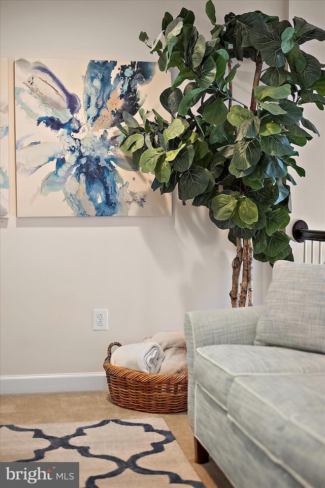 living area with carpet floors and baseboards