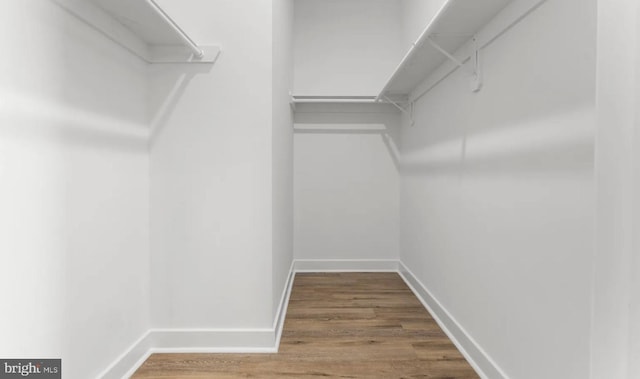 walk in closet featuring hardwood / wood-style flooring