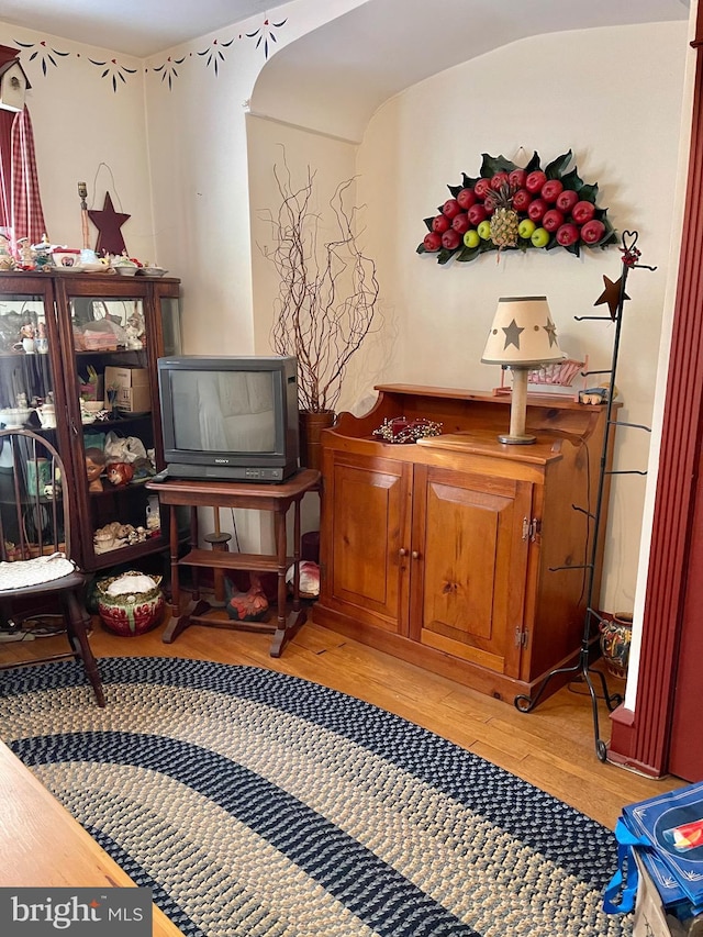 sitting room with light hardwood / wood-style flooring