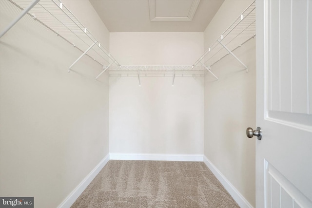 157 Eli Dr, York, PA 17404 - spacious closet with carpet floors