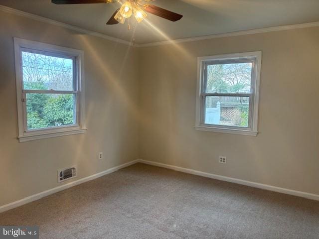 spare room featuring carpet flooring, a wealth of natural light, and crown molding