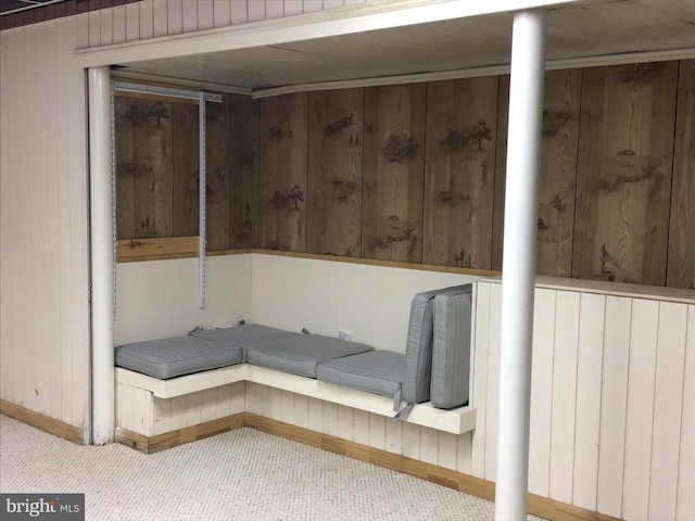 interior space with wooden walls and radiator