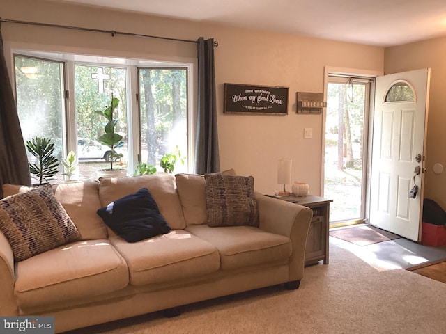 carpeted living room with plenty of natural light