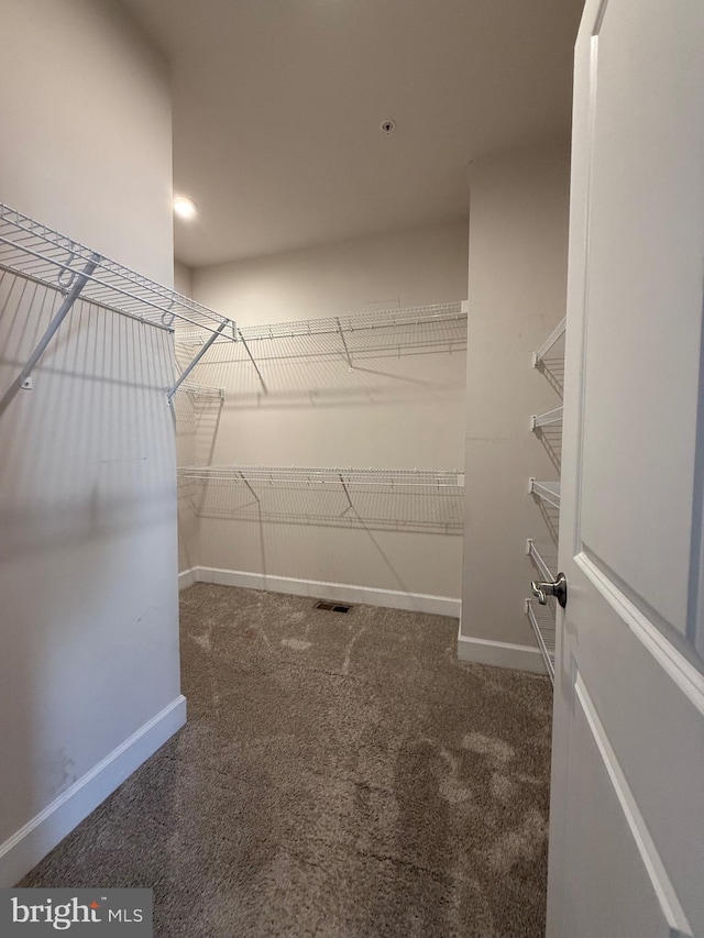 spacious closet with carpet flooring