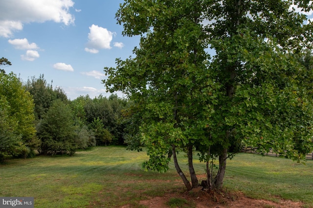 view of nature